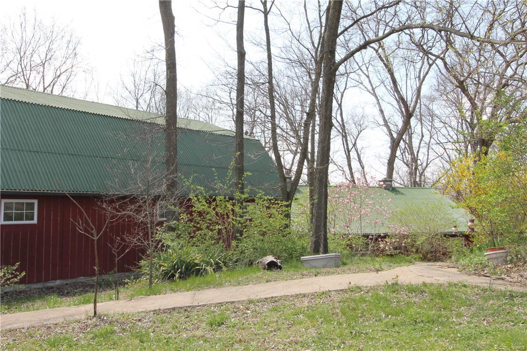 Big Tree - Residential