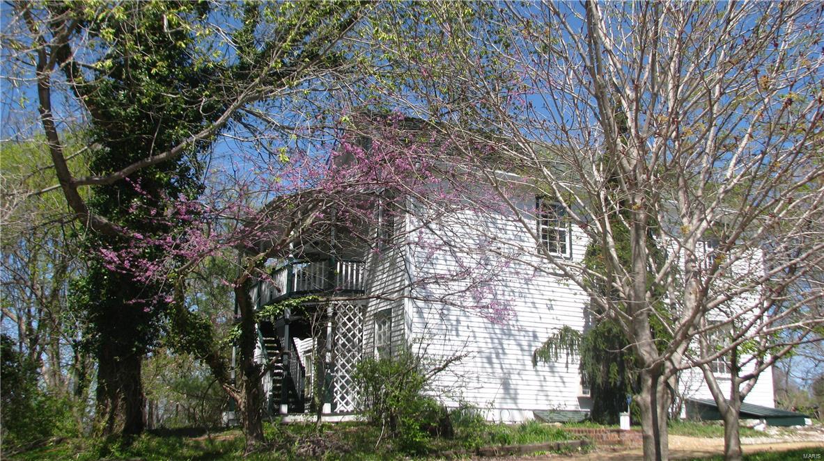 Big Tree - Residential