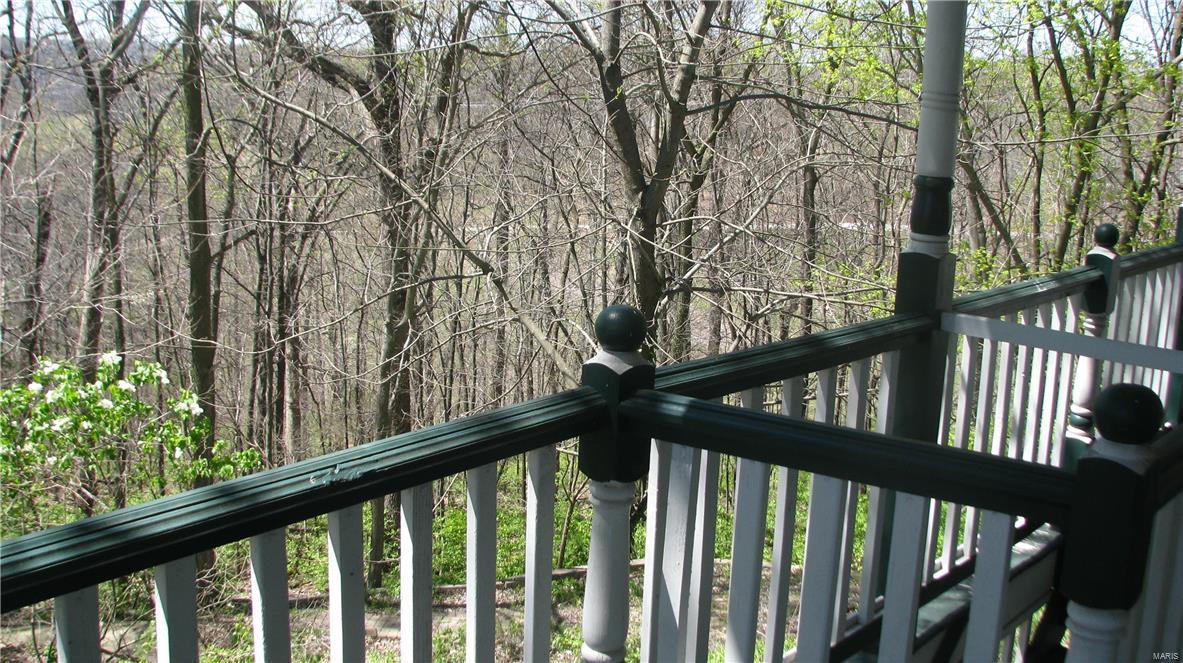 Big Tree - Residential