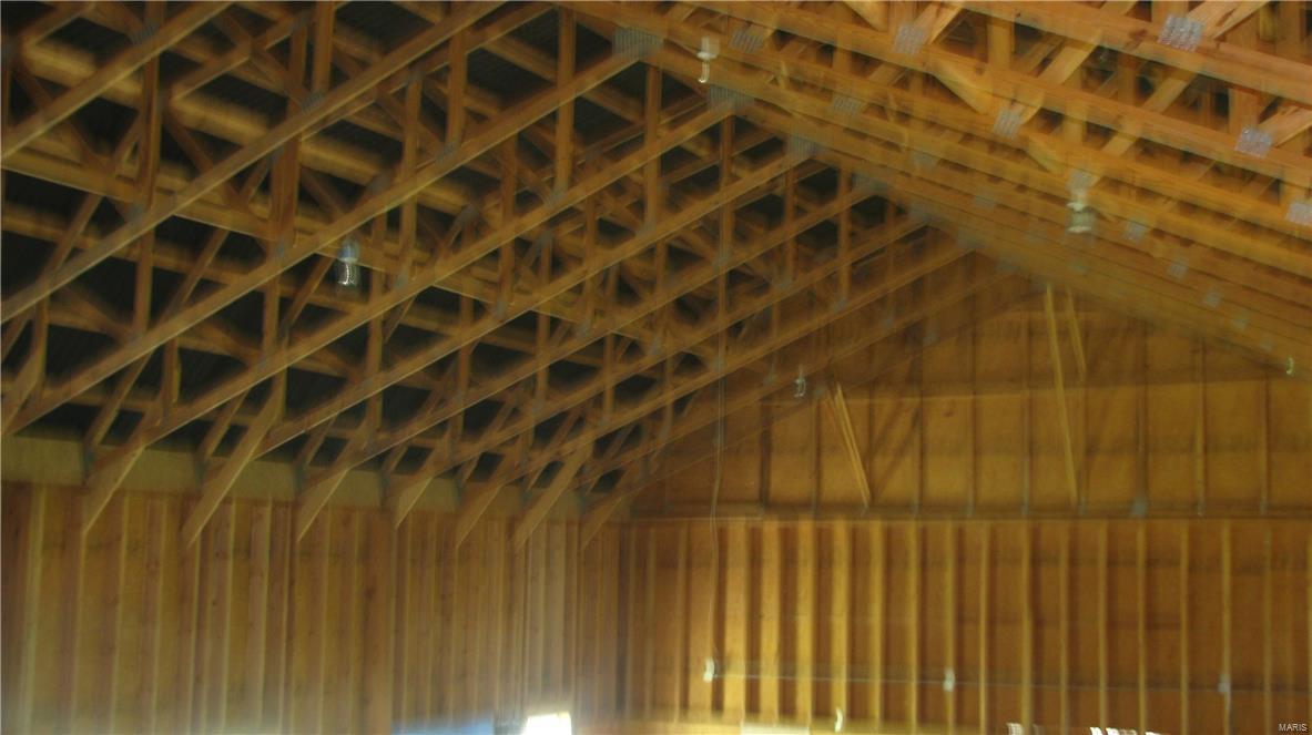 Big Tree - Residential