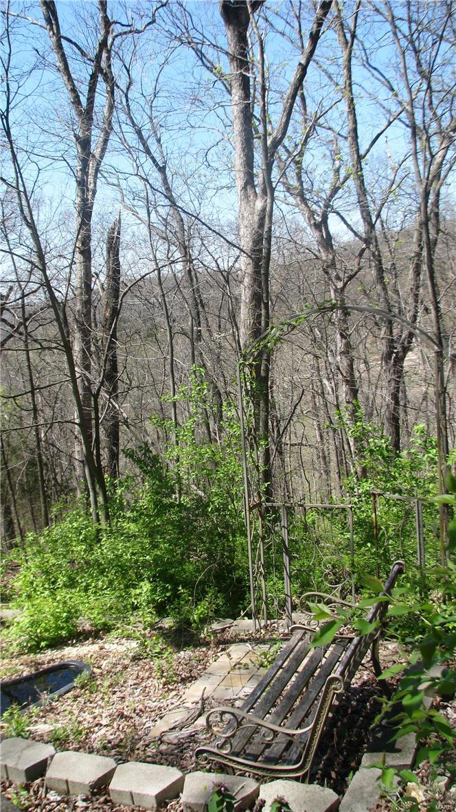 Big Tree - Residential