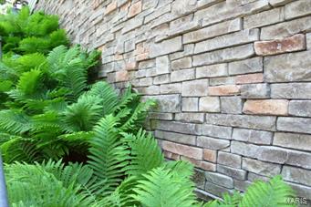 Essex Hill - Residential