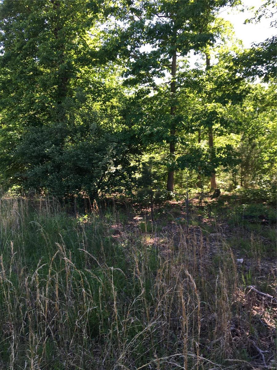 Hidden Valley - Farm