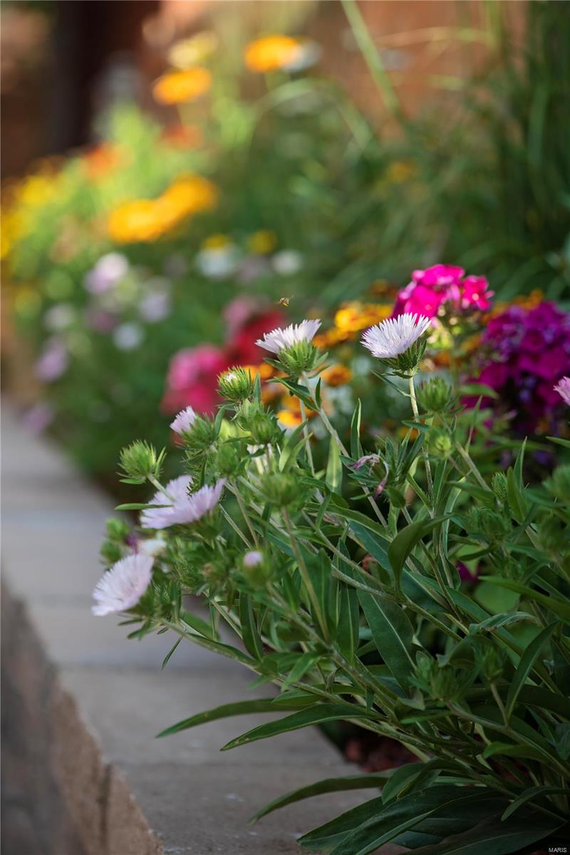 Millers Resub - Residential