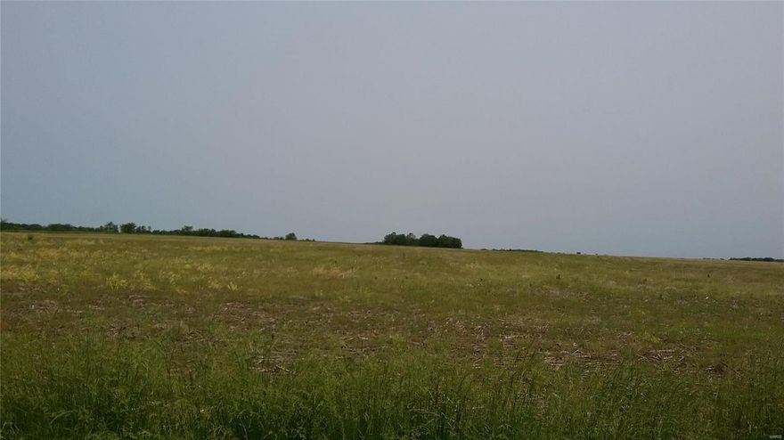 Highly productive farmland located in Ralls County, MO, New London.  Property will have to be surveyed.  Currently cash rented to tenant farmer.  Won't last long.  Call office today.