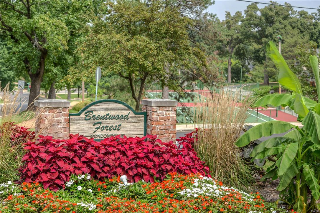 Brentwood Forest - Residential