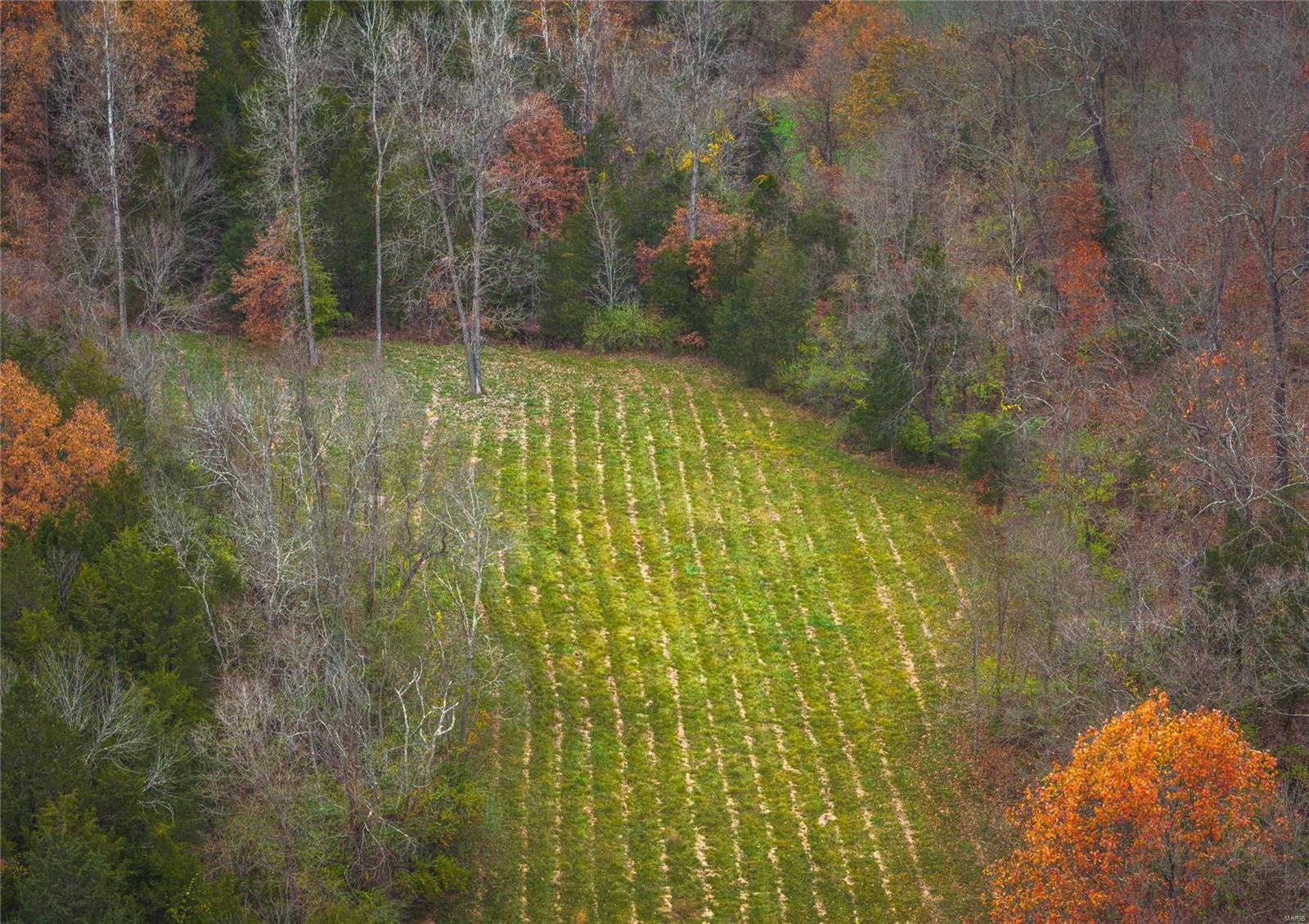 3476 Bassett Road
