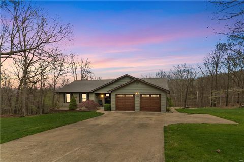 1324 Shirley Lane Festus MO 63028