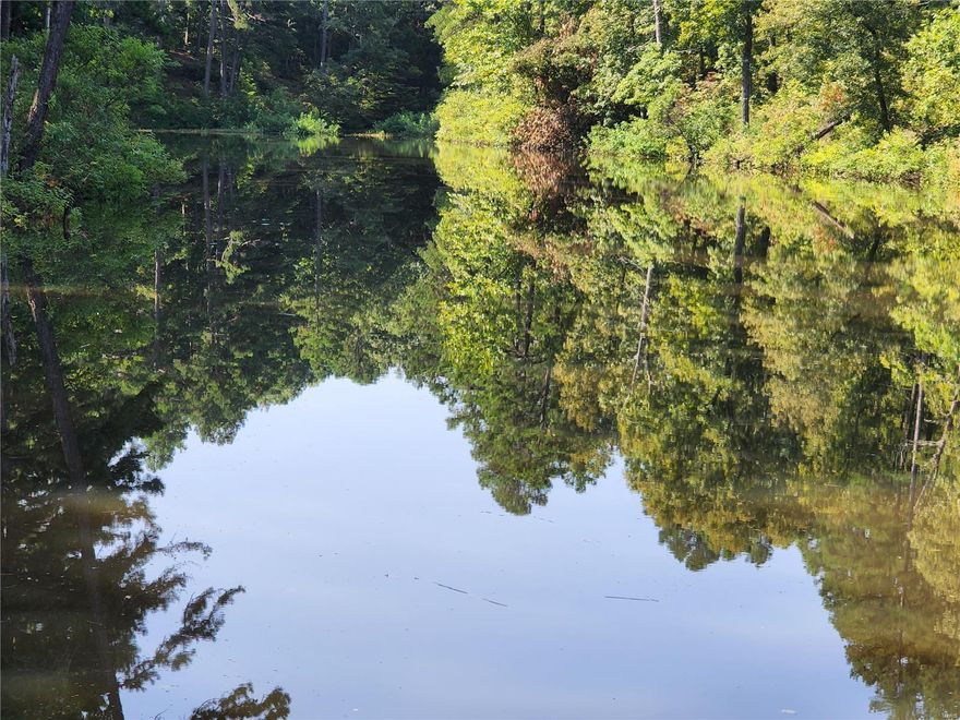 Paddlewheel LLC offers 376.3 acres m/l of a managed Tree Farm. Park like setting as you enter the gates down drive lined by a thick pine forest. Portions of the property are contiguous to thousands of acres of USA Land. Resources of pine, hardwoods, lake, springs, streams, ATV trails, as well as fishing, turkey and whitetail trophy hunting make for total outdoor enjoyment. Big Paddy Creek, Brushy Creek frontage, 3 to 4 ac m/l spring-fed lake with dam, seasonal waterfall. 4 Br, 3 Ba, native stone/wood burning fireplace, 1.5 story, two car/carport, deck, home #2 -3 Br, 2 Ba, carport, building built for health club, Br, 3 Ba, kitchen, total of 3750 sq. ft. m/l, deck. Shop/concrete/elec., 40'x70' w/ 18'x70' side shed, overhead door, other outbuildings. Family cemetery ingress/egress, Located in the Ozarks, could be your private retreat/family compound. Close to major floating rivers, State Park trout fishing. Back on the market at no fault of the property. Let's LOOK.