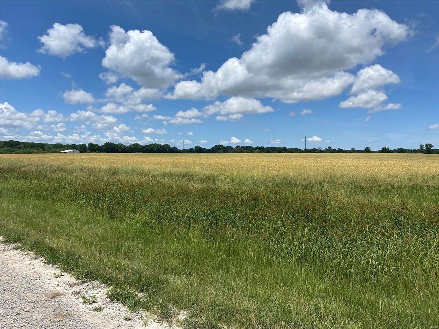 About 150 acres tillable! Great exchange property! Ideal location for a warehouse, truck stop, gas station, car/ truck dealership! Use your imagination!Also has 125+\- on other side of creek that could go residential- not far from subdivisions and Tanglewood golf course! Maybe build a golf course! Lakesite maybe, beautiful property! Seller is looking to do a 1031 tax deferred exchange.