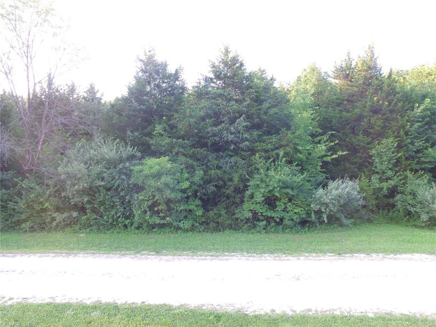 This is an amazing piece of ground that has been untouched for the last 25-30 years! After some clearing, this property could make an excellent weekend retreat getaway, or build your dream home here!! County records show parcel is 9.70 acres, survey from the 1970s shows parcel as 10.25 acres. Property has so much potential and is just waiting for a new owner!!