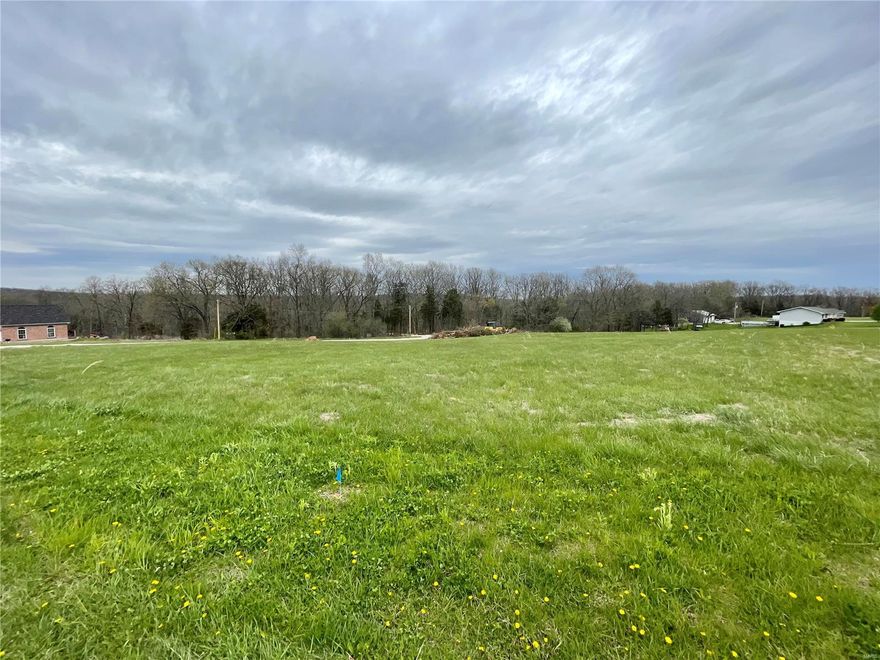 Great partially wooded, level lot ready for your building plans! just 5 minutes from interstate 55 off of Edgewood Lane! Electric and public water are on site.