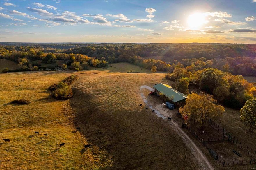 Own a rare, highly versatile farm in Leasburg, a unique exception to the primarily wooded area. With vast open grasslands and fertile bottoms, this farm strikes the perfect balance for a successful cattle operation or a premium hunting tract. Whether continuing its cattle legacy or transforming it into a hunting paradise, you have the tools and resources to make it happen! Nearly 40 acres of flat bottom fields hint at row crop potential, and numerous food plot locations are perfect for trophy buck hunting. Frequent turkey sightings make it a slam-dunk turkey hunting destination, and dense wooded draws and thickets attract deer for ideal bedding areas. Rocky outcroppings line winding creeks with scattered pools of water, while mature timber and countless Walnut trees add to the charm. Convenient access points with gates on both the North and South sides, joining county roads, make a place w/more unique characteristics than mentioned here. Equipment & cattle available for purchase