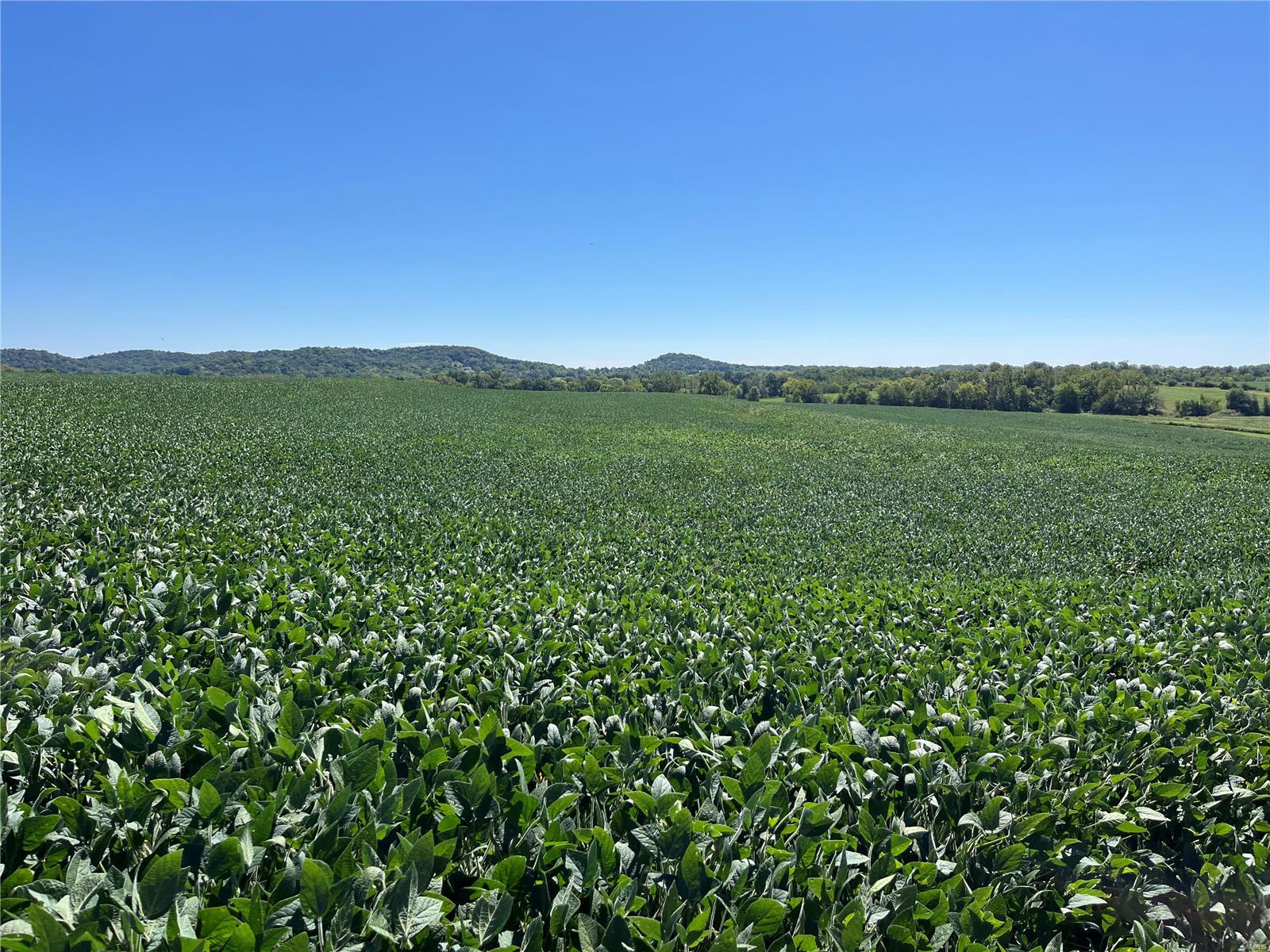 View Louisiana, MO 63353 property