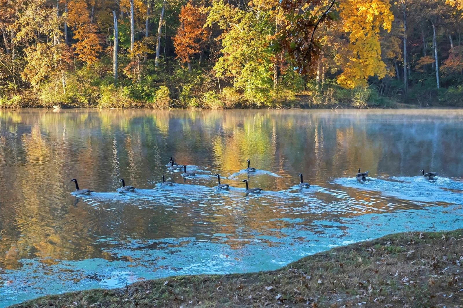 Kehrs Mill Trails 1 - Residential