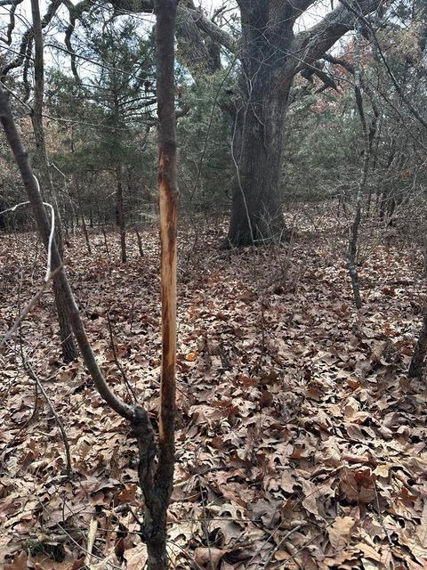 Tiny photo for 0 Osage Dr, New London, MO 63459 (MLS # 25012238)