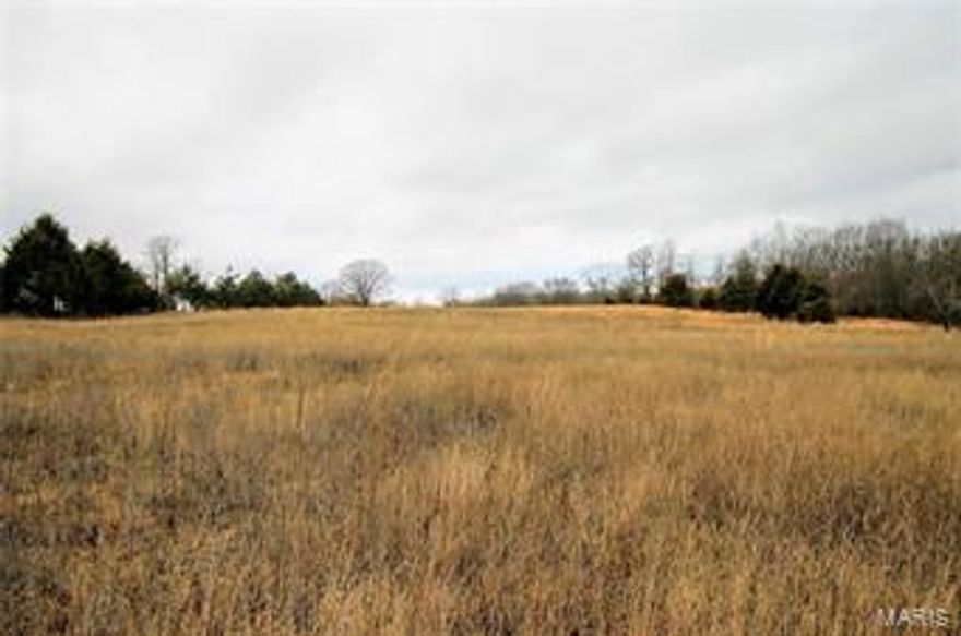 This piece of land is a hunting/farming paradise and also a perfect site to build your dream home! This 80 acre tract features tons of wildlife, 3 ponds and a metal building. The property consists of approximately 25 acres of fenced pasture and 55 acres wooded. Call to schedule a showing today!