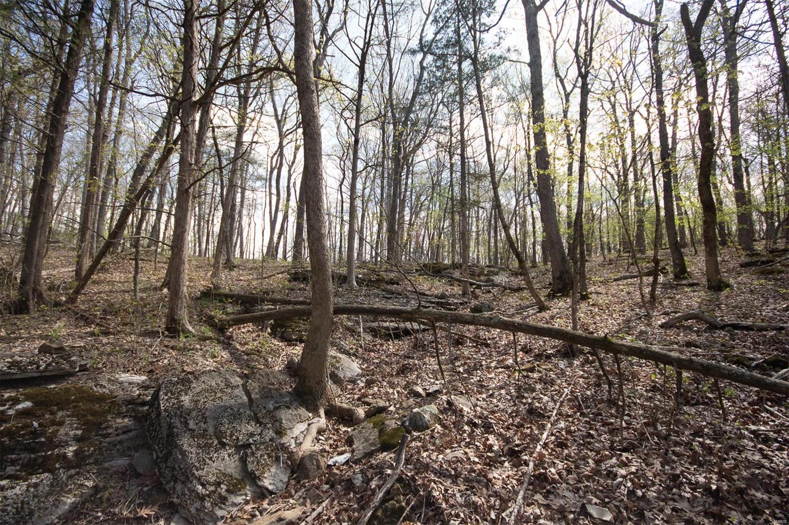 Pinnacle Lake Estates - Land