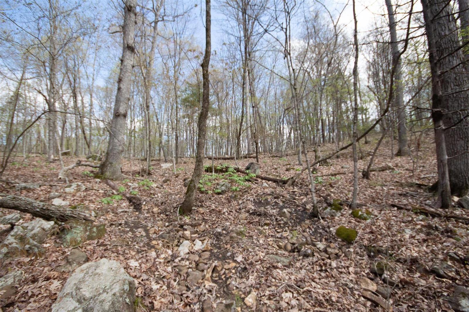 Pinnacle Lake Estates - Land