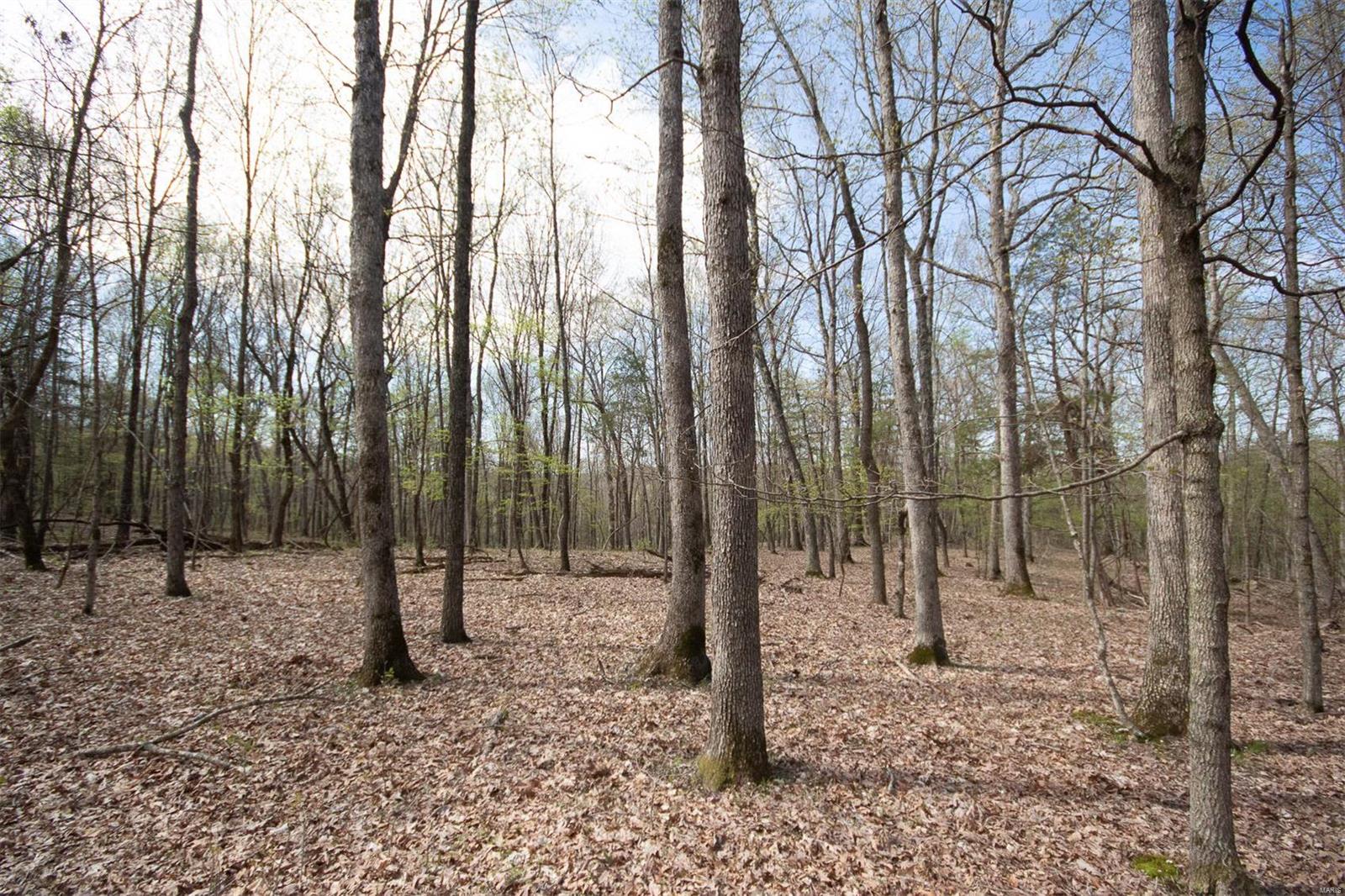 Pinnacle Lake Estates - Land