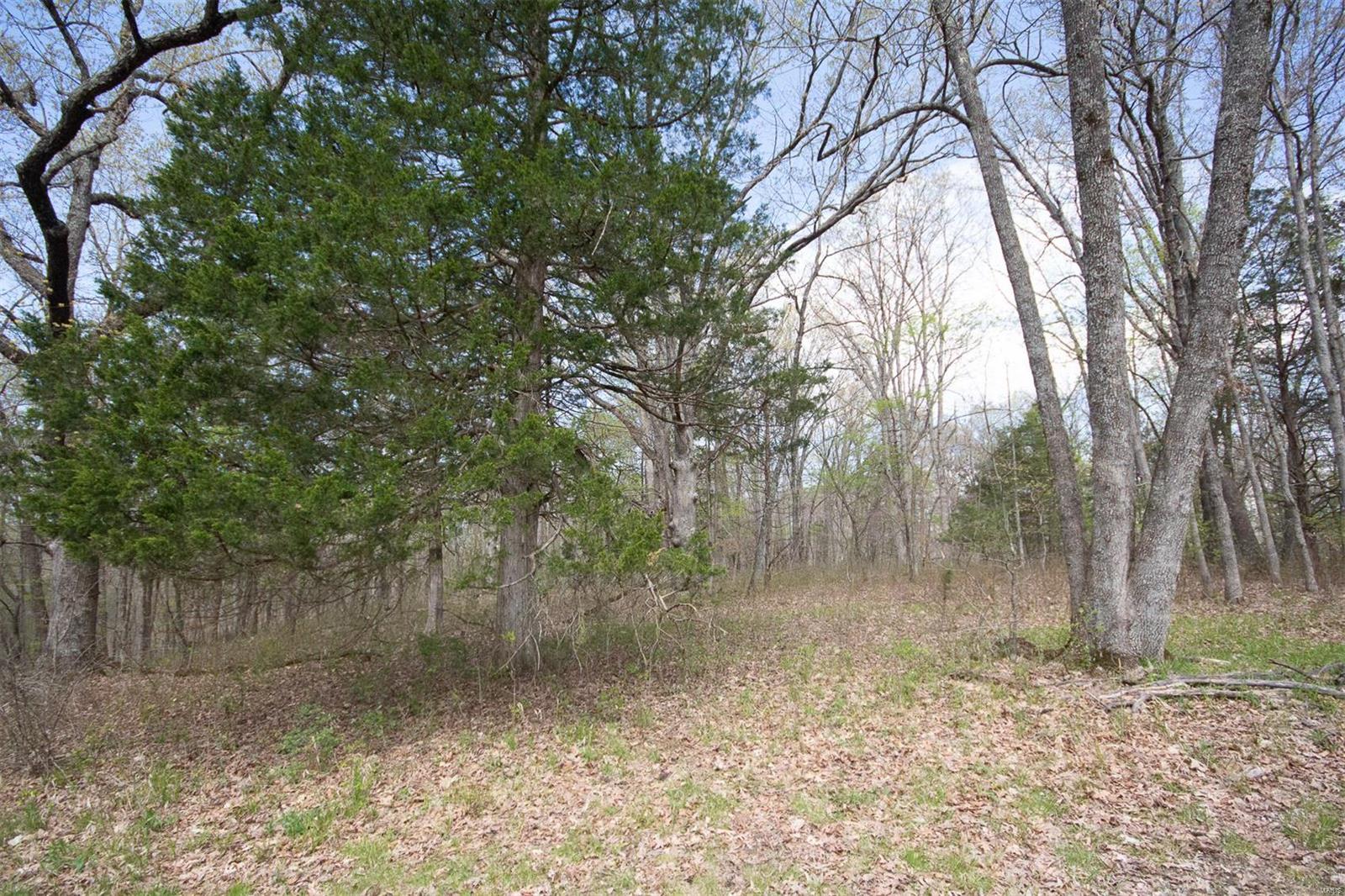Pinnacle Lake Estates - Land