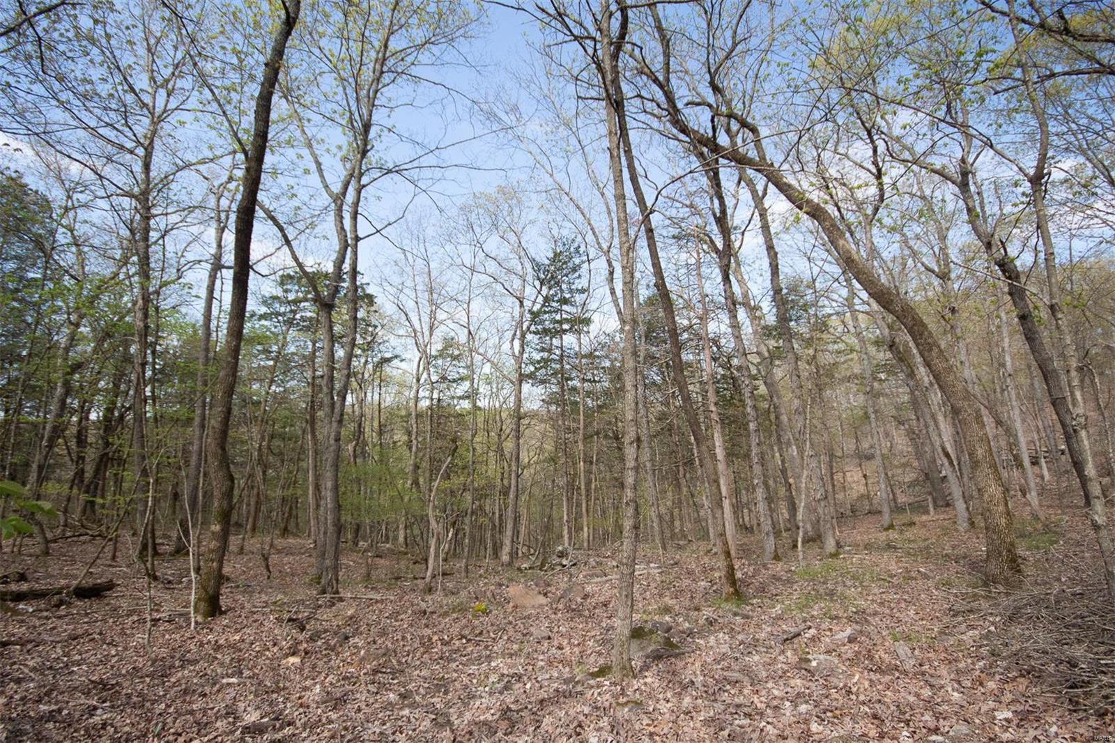 Pinnacle Lake Estates - Land