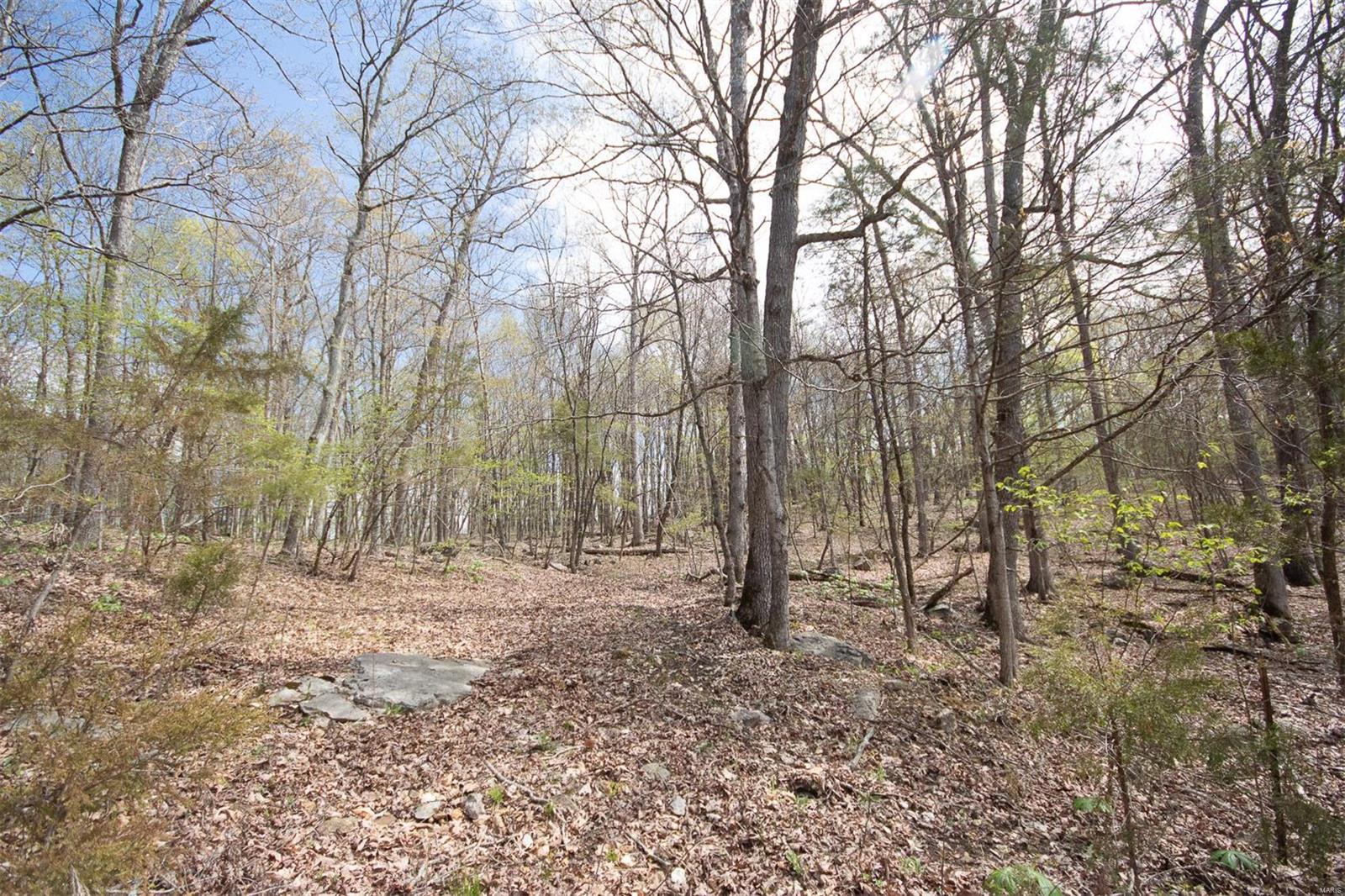Pinnacle Lake Estates - Land
