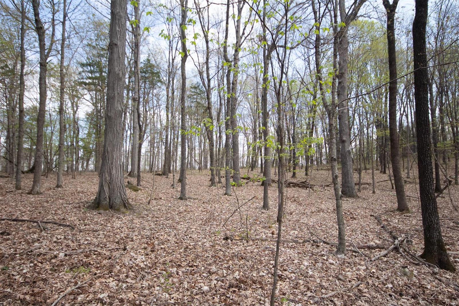 Pinnacle Lake Estates - Land