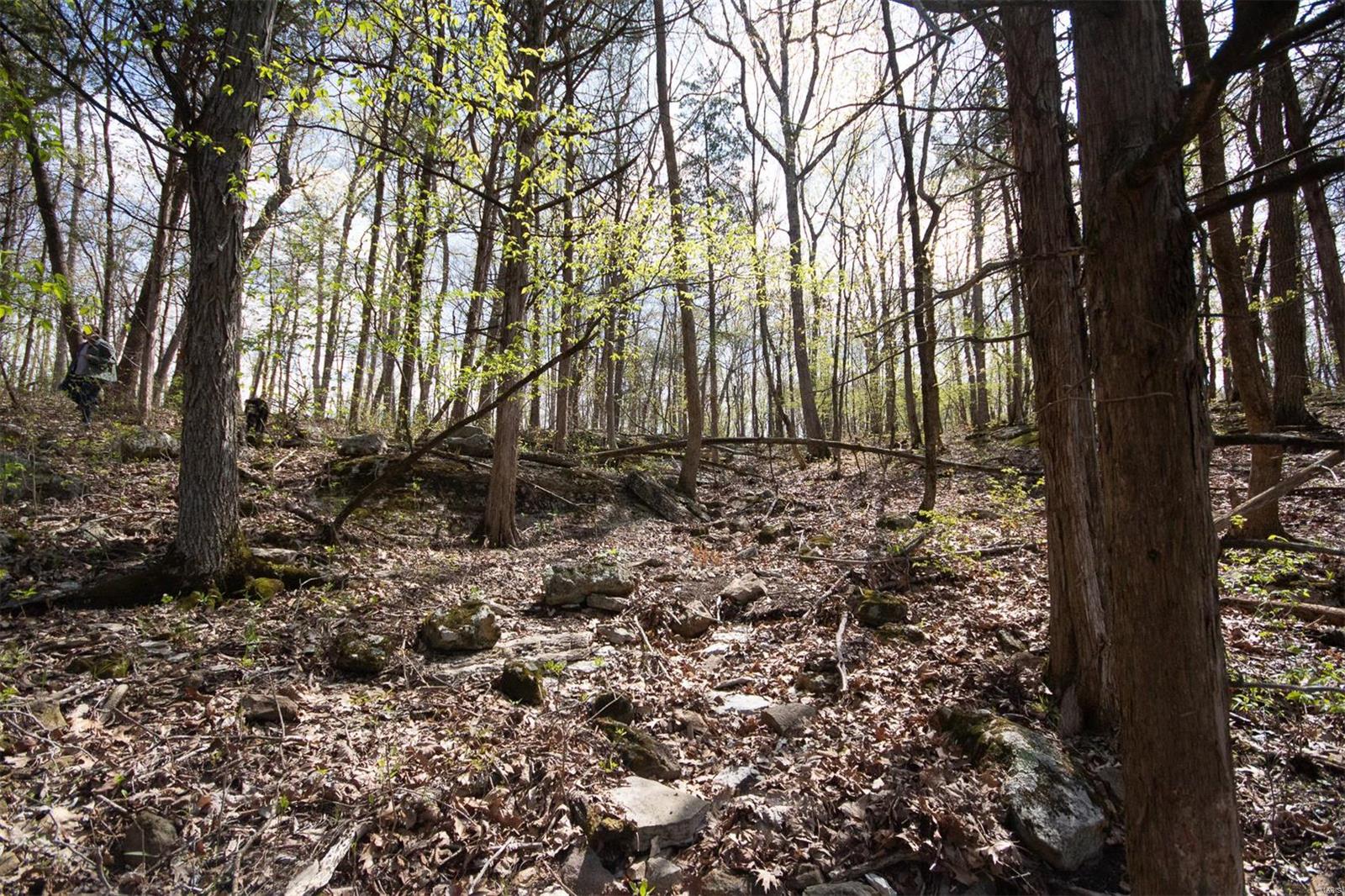 Pinnacle Lake Estates - Land