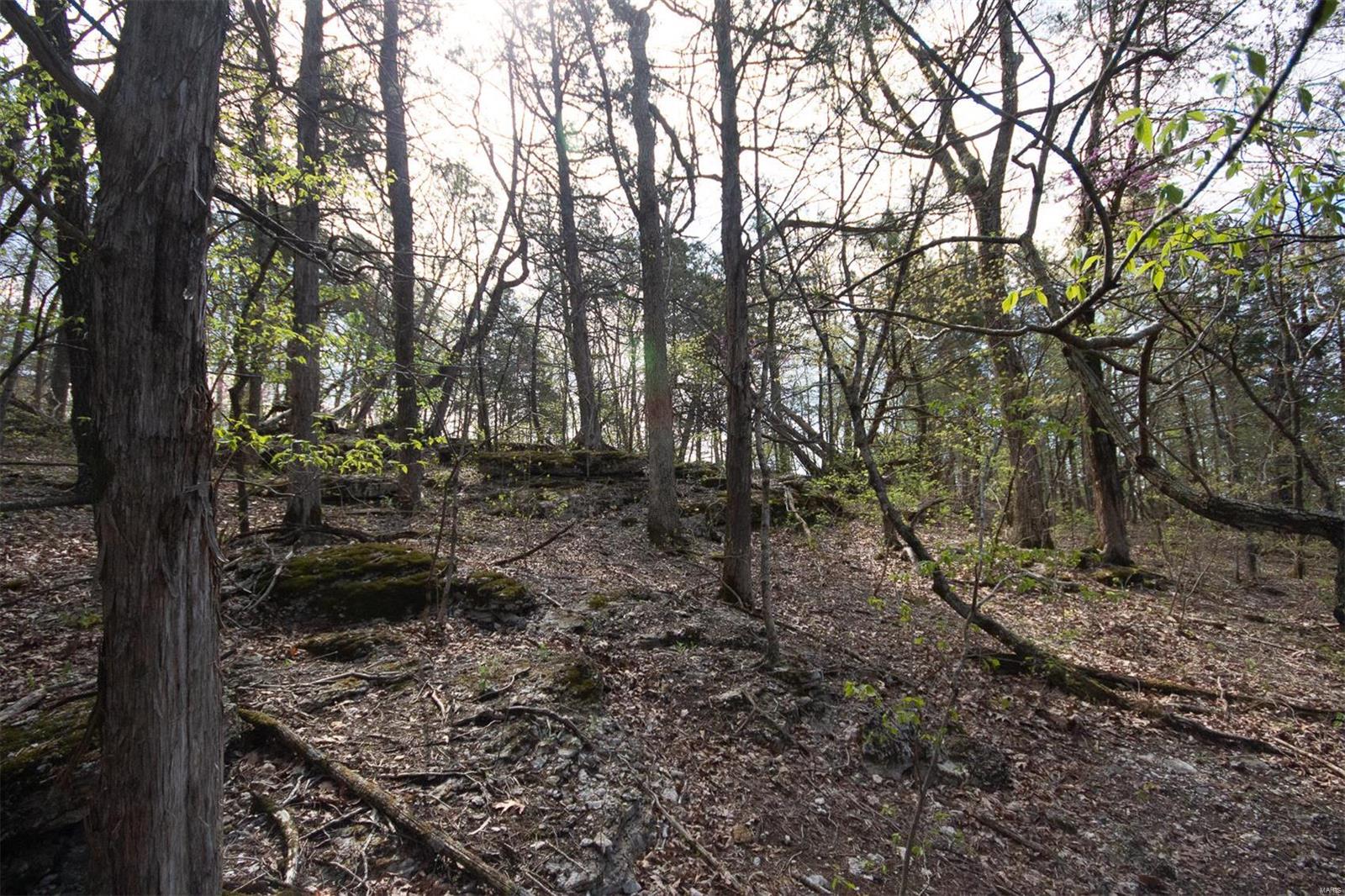Pinnacle Lake Estates - Land