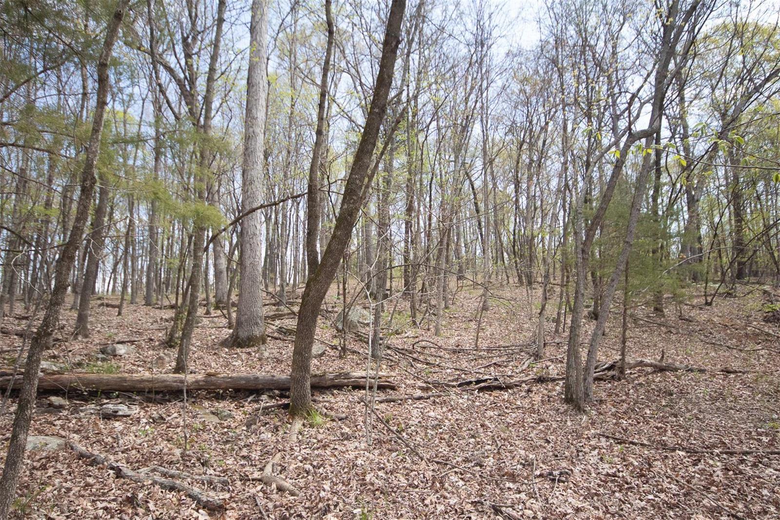 Pinnacle Lake Estates - Land