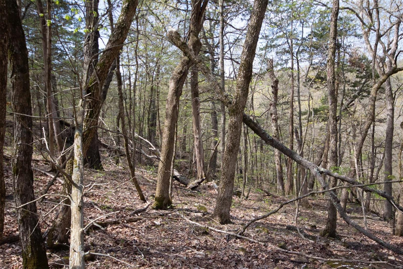 Pinnacle Lake Estates - Land