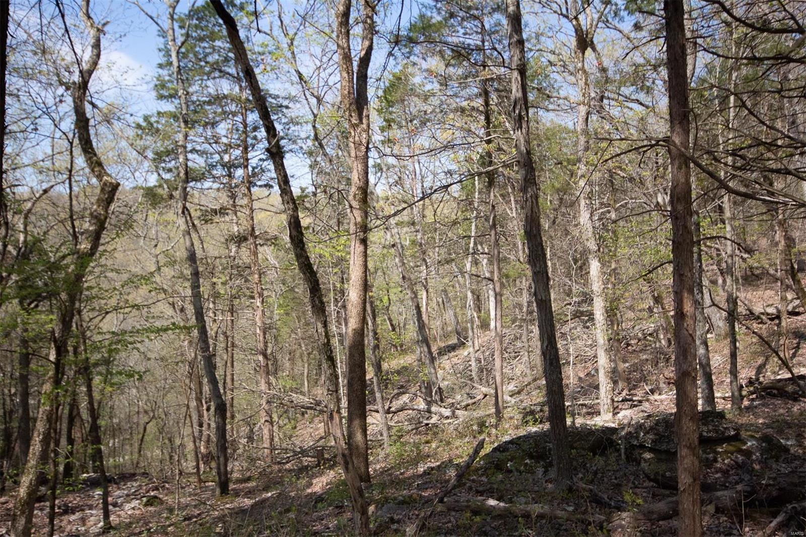 Pinnacle Lake Estates - Land