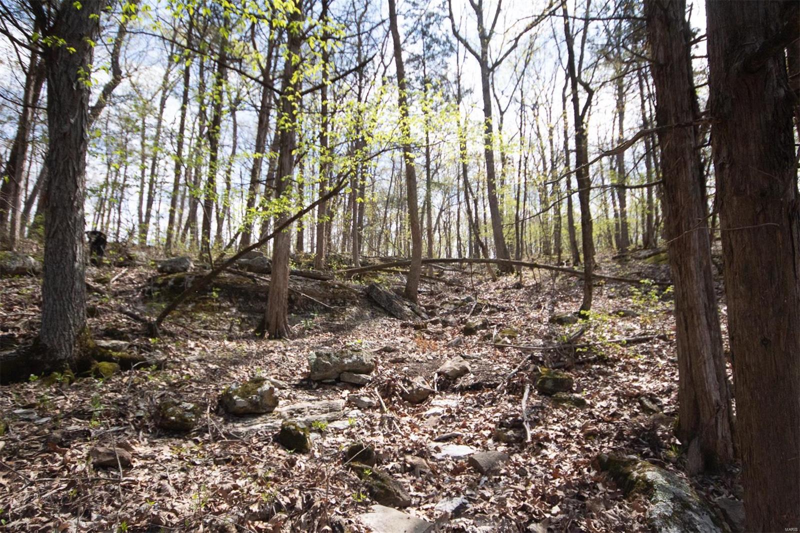 Pinnacle Lake Estates - Land
