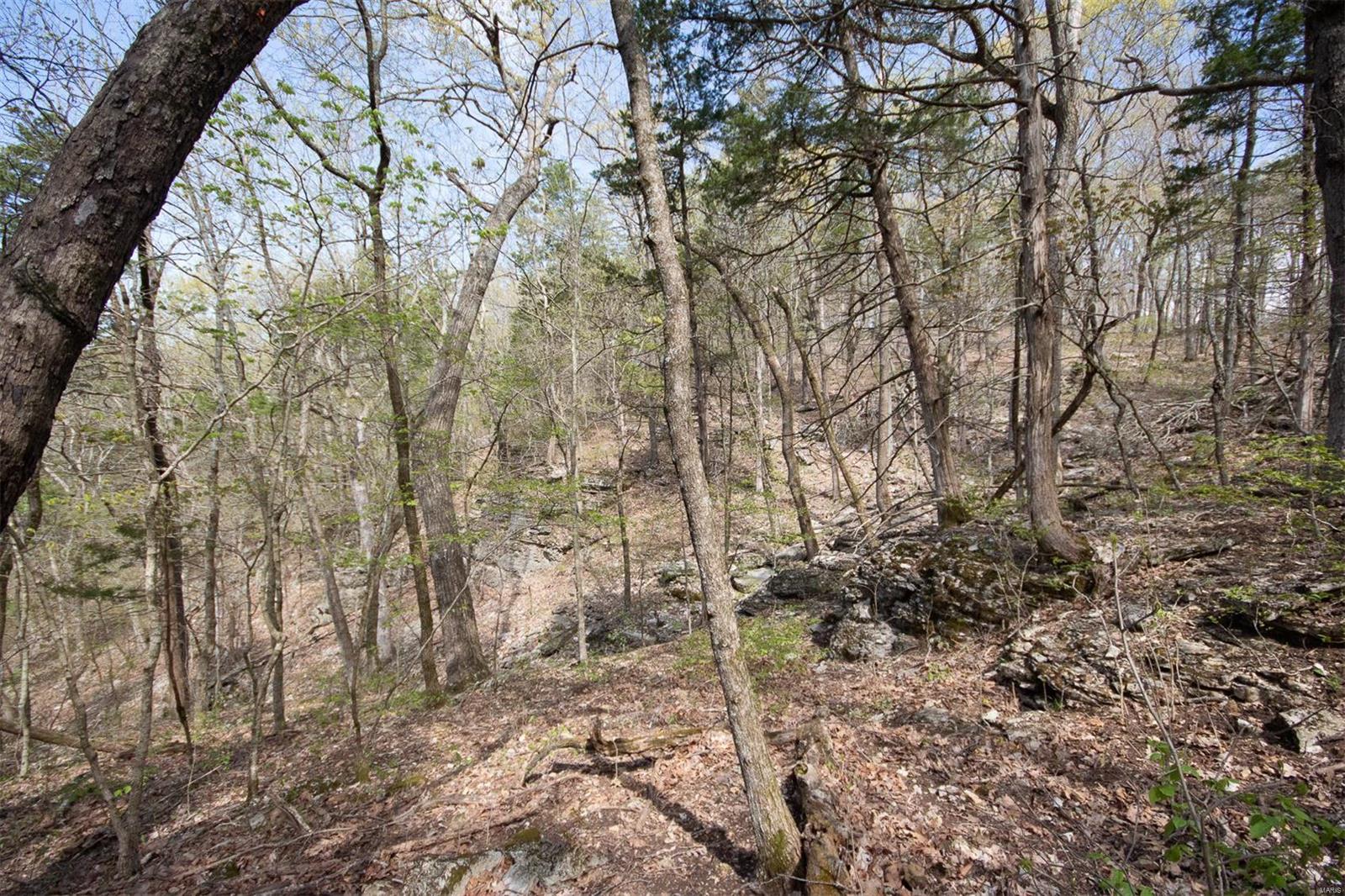 Pinnacle Lake Estates - Land