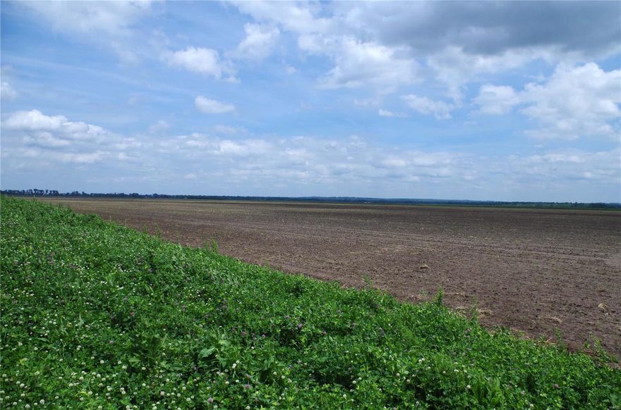 445 Acre, Old Monroe, Lincoln County, MO
Located near Old Monroe, MO in the Mississippi River Bottom lies this 445 Acres. This High Productive Farm features 408 acres tillable. This large property lies in one tract and is located in a levee protected District with extensive drainage systems throughout the farm. The soil types of the farm are mainly Carlow Silty Clay Loam, Kampville Silt Loam, and some Portage Clay. As well as an excellent Agricultural Investment this farm has Great Duck Hunting Potential being located in the Heart of Established Duck Clubs in the Mississippi Flyway. This property has easy access just off Highway 79, only 40 minutes from the St. Louis Metropolitan area. Appointment Only.