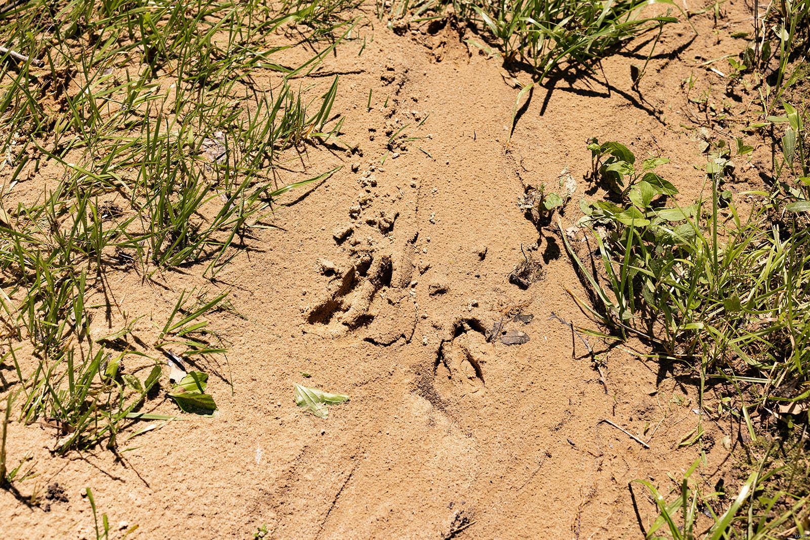 Cornerstone Farms - Residential