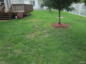 Williams Brook Meadows - Residential