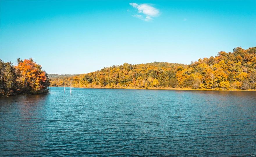 Gems like this 460ac do not come on the market often! This parcel has been preserved & maintained like a true outdoor conservationist would do. The 26ac current river watershed lake is covered with fish. There have been many largemouth caught & both released here. The property is right in the elk restoration areas of Shannon & Reynolds counties. Can you imagine having your MO Elk license and hunting right on your own outdoor paradise? To top it off the other adjoining property is the Ozark Scenic National Riverways land protecting the banks of the Current River which is right at the end of the road that this ranch sits on. Several amazing build sites for your dream home or cabin. Colwil also has a tremendous population of turkey & whitetail deer & even some migrating ducks. The area also has sightings of black bears & is in bear management zone Z. There are apprx 35 wild horses roaming freely & are a legally protected group in the area & always a thrill to see!