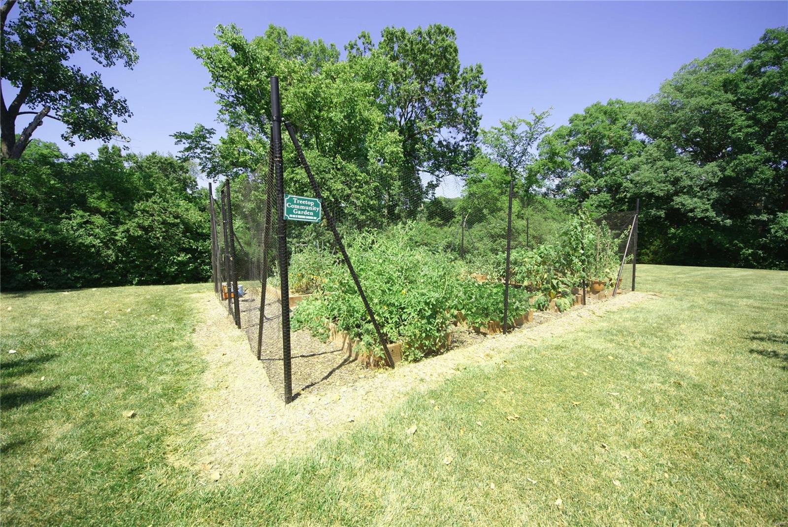 Treetop Condo Ph II - Residential