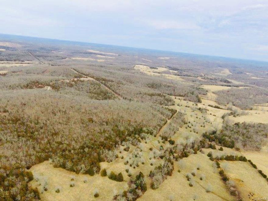 90.66 acres Maries County located between Vienna and Rolla. Nice combination farm. Currently the farm is being used for pasture.  Excellent hunting. Multiple food plot locations, with good access throughout. Over a 1/4 mile of county road frontage. Located 2 hrs from St. Louis, 1.5 hrs from Columbia, and 3 hrs from Kansas City.