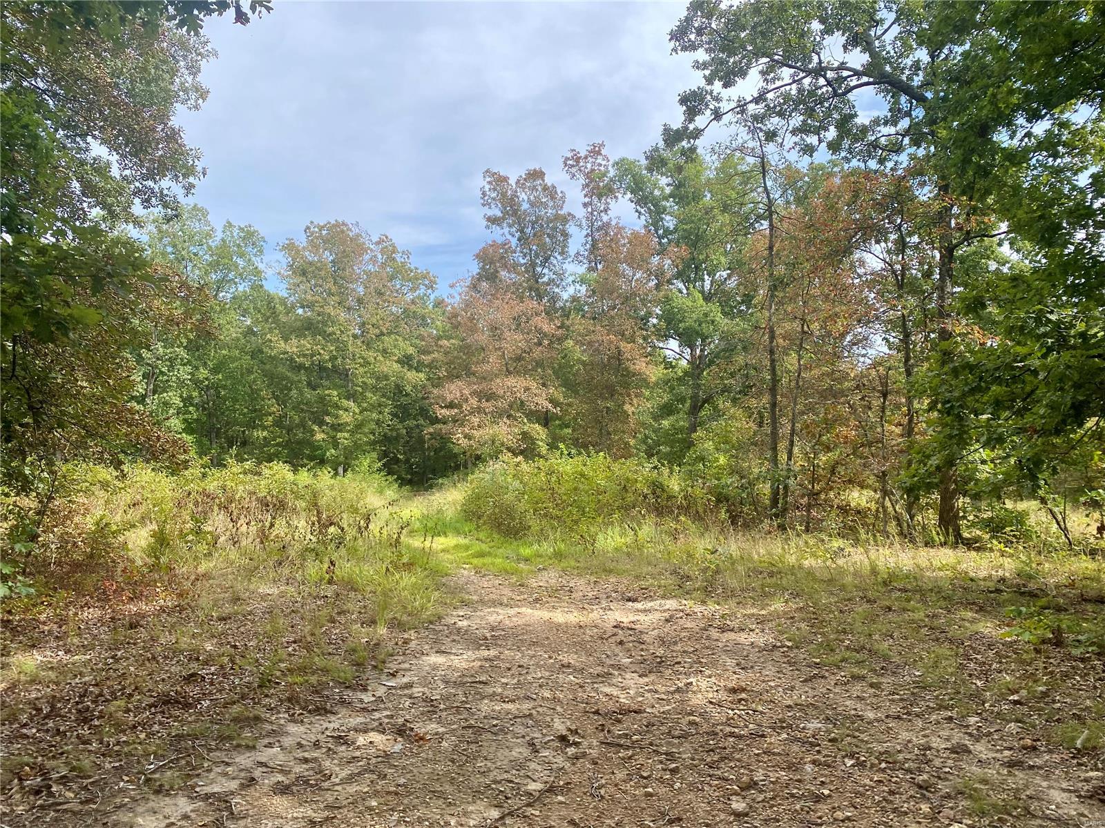 Whitetail Crossing - Farm