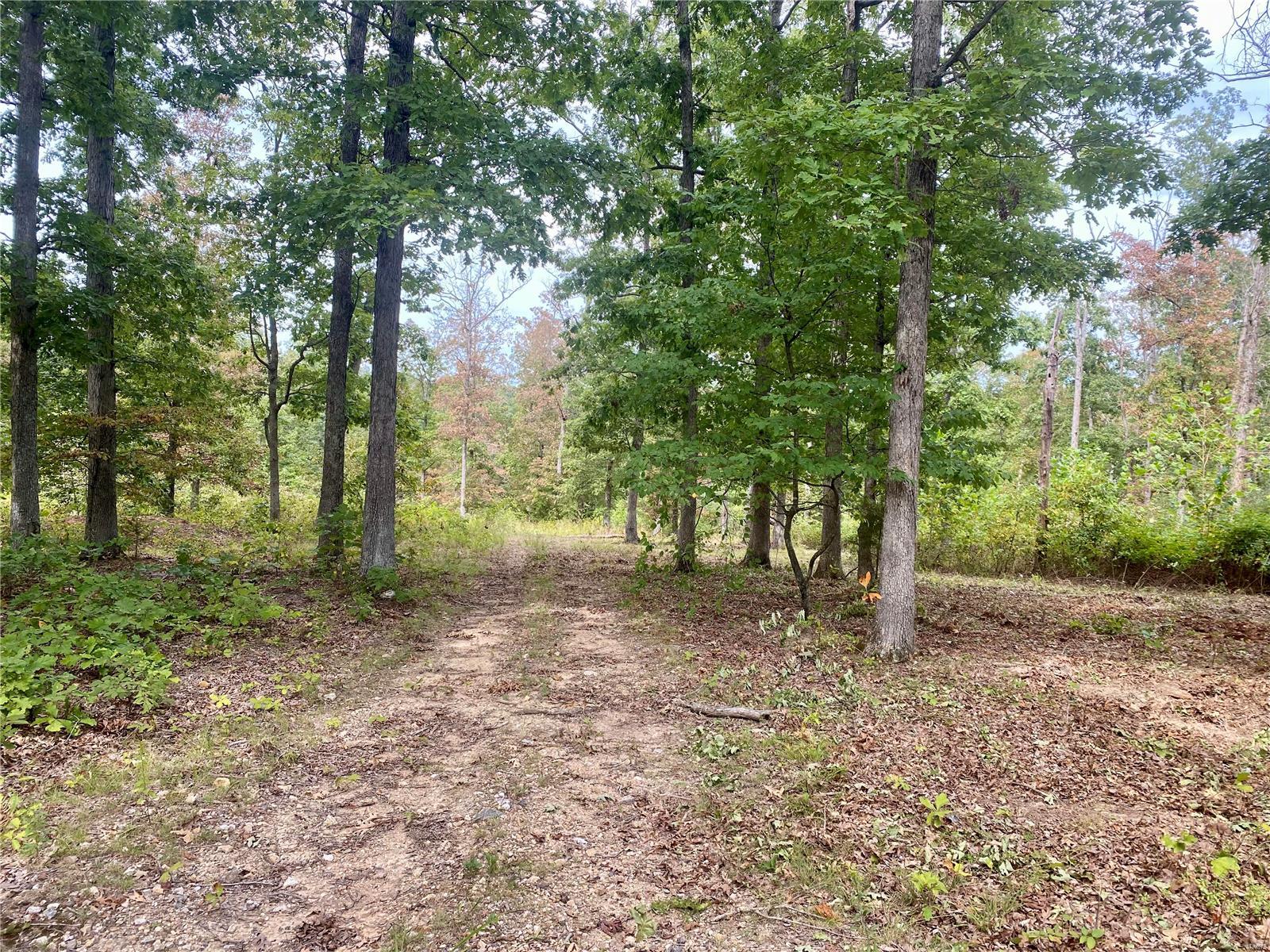 Whitetail Crossing - Farm