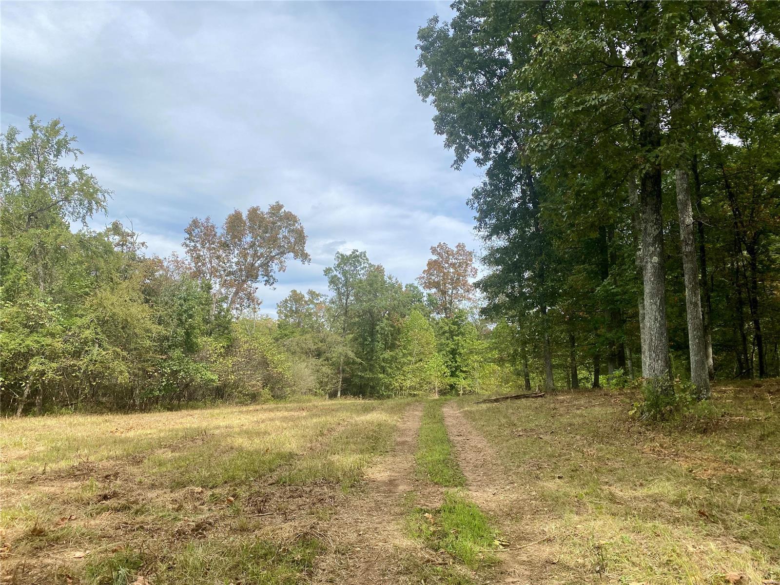 Whitetail Crossing - Farm