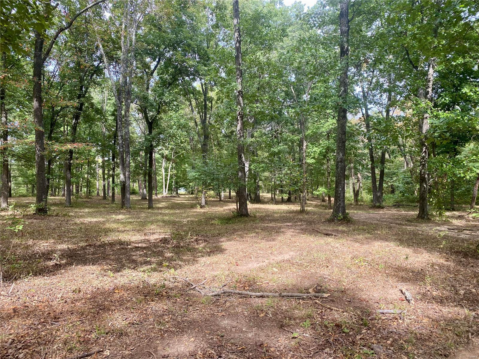 Whitetail Crossing - Farm