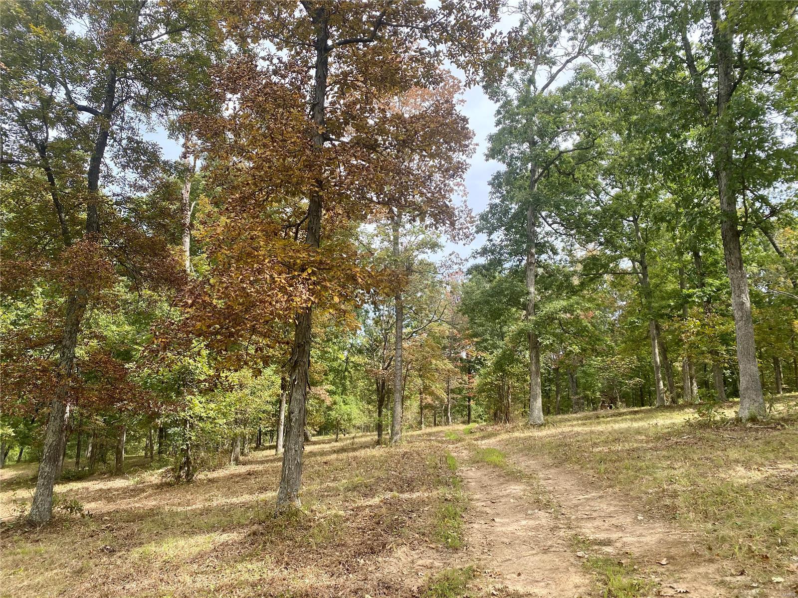 Whitetail Crossing - Farm