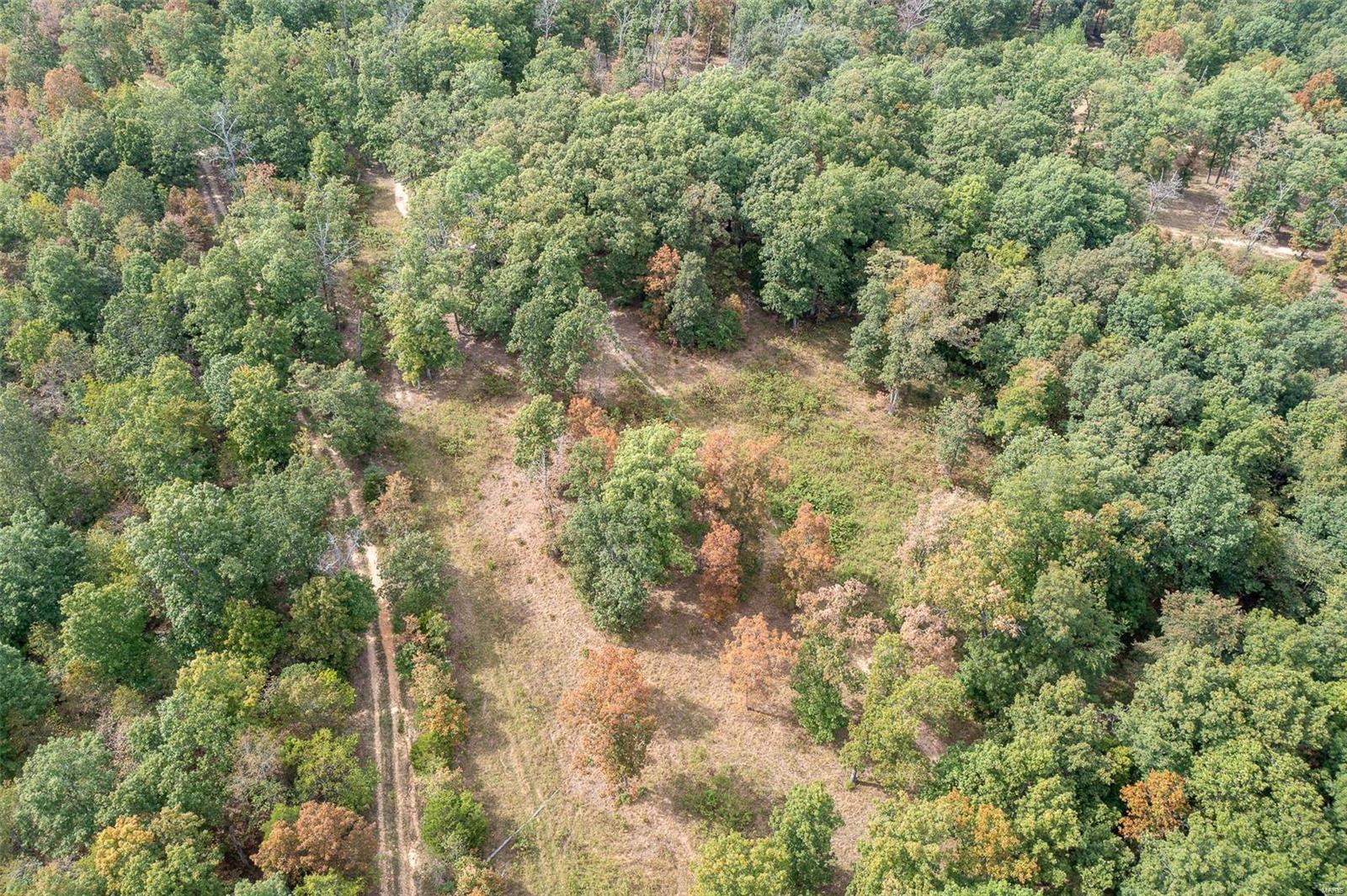Whitetail Crossing - Farm