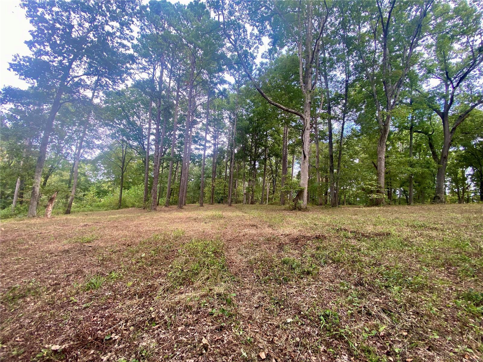 Whitetail Crossing - Farm