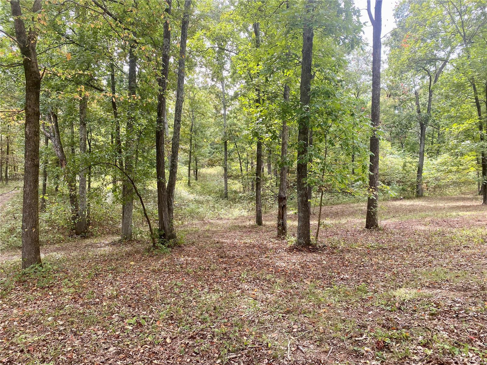 Whitetail Crossing - Farm