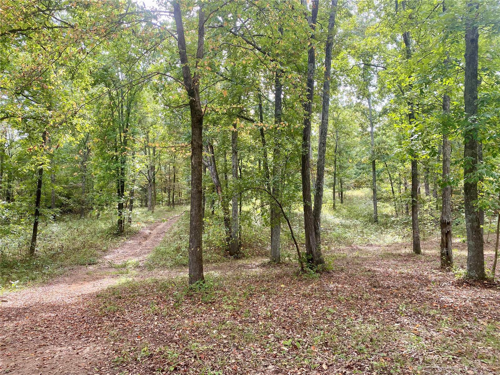 Whitetail Crossing - Farm